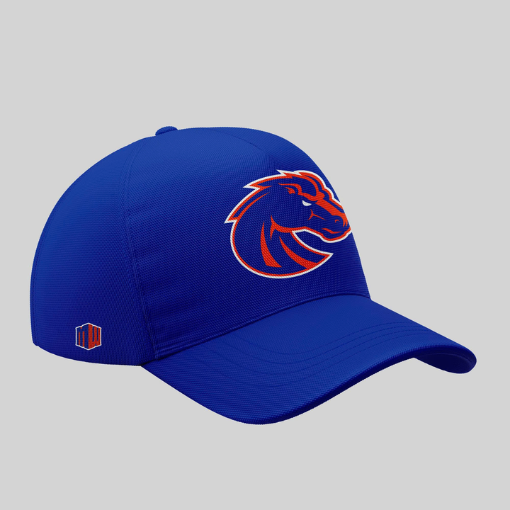 TS5 - "The Blue and the State of Idaho" - Boise State Broncos Football - Special Edition Tshirt 2025