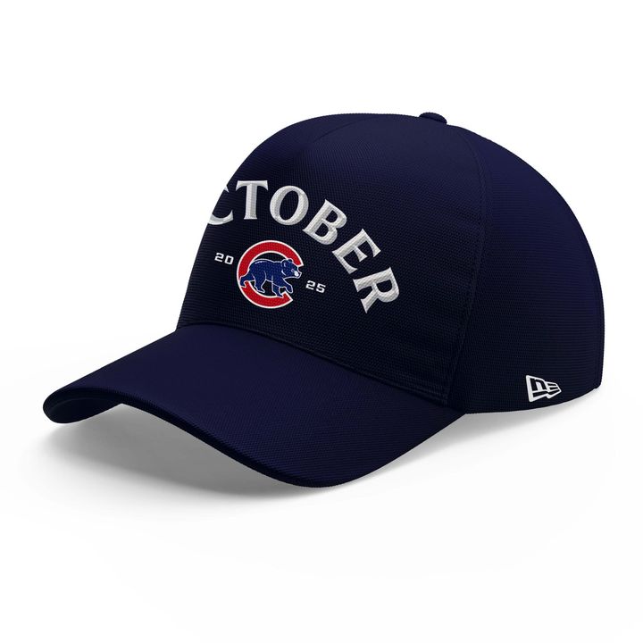 Speical Edition Chicago Cubs 2025 MLB Postseason Locker Room Hoodie