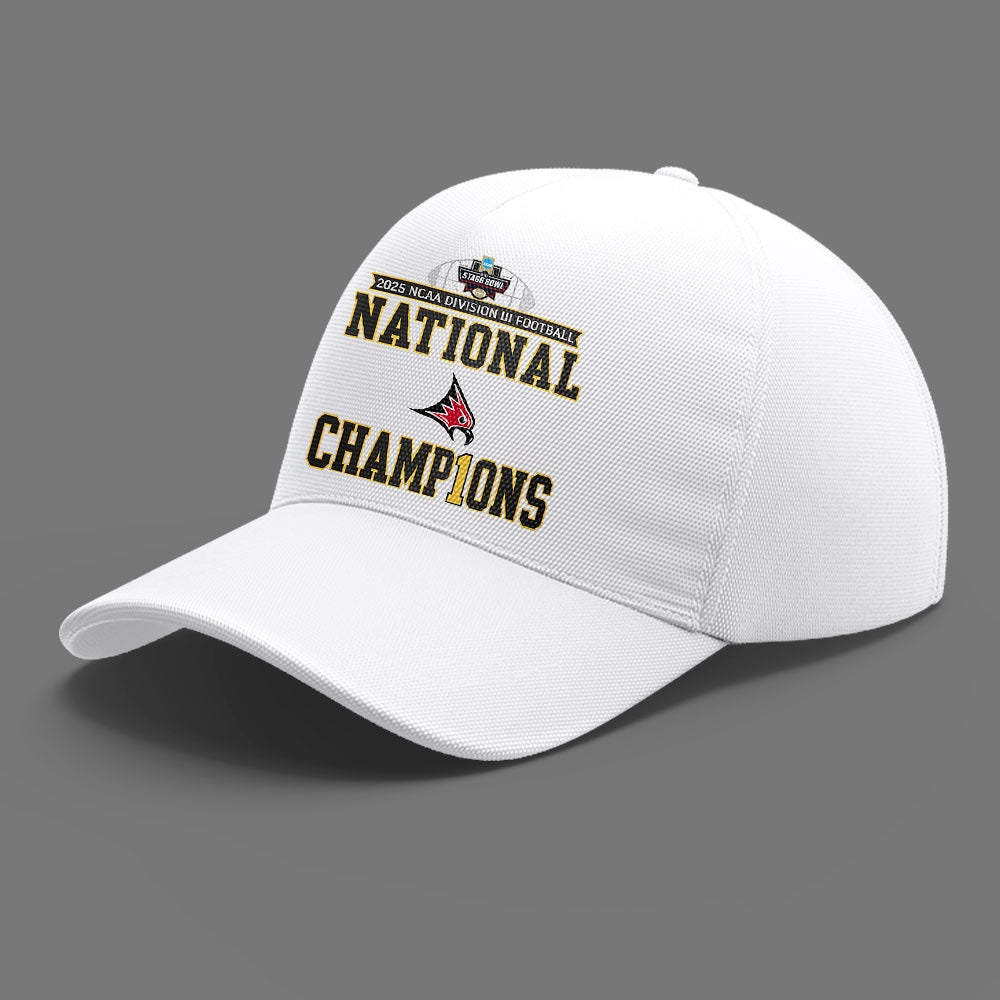 Limited Edition Falcon Football 2025 NCAA Division III National Champions TShirt-LL260105021