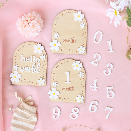 Baby Monthly Milestone Flower Baby Girl Name Sign Baby Girl Announcement Sign for Hospital Baby Photo Signs Baby Gift Baby Shower Gift