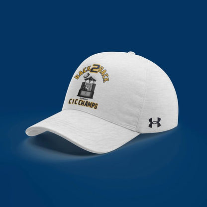 Navy Football BACK TO BACK Hoodie